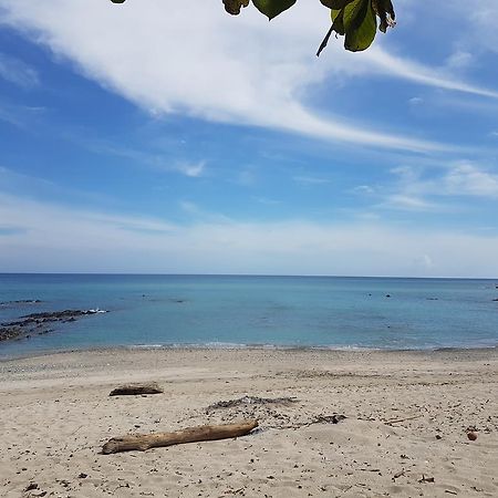 Willa Pura Vida House Cabo Blanco Nicoya Zewnętrze zdjęcie