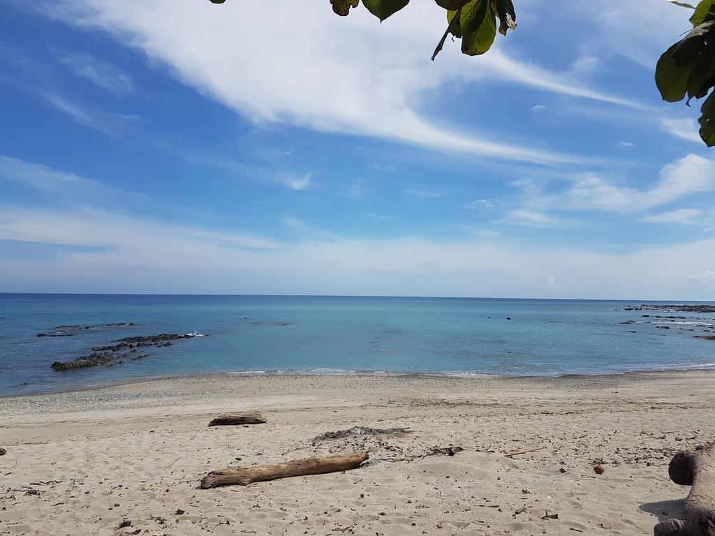 Willa Pura Vida House Cabo Blanco Nicoya Zewnętrze zdjęcie