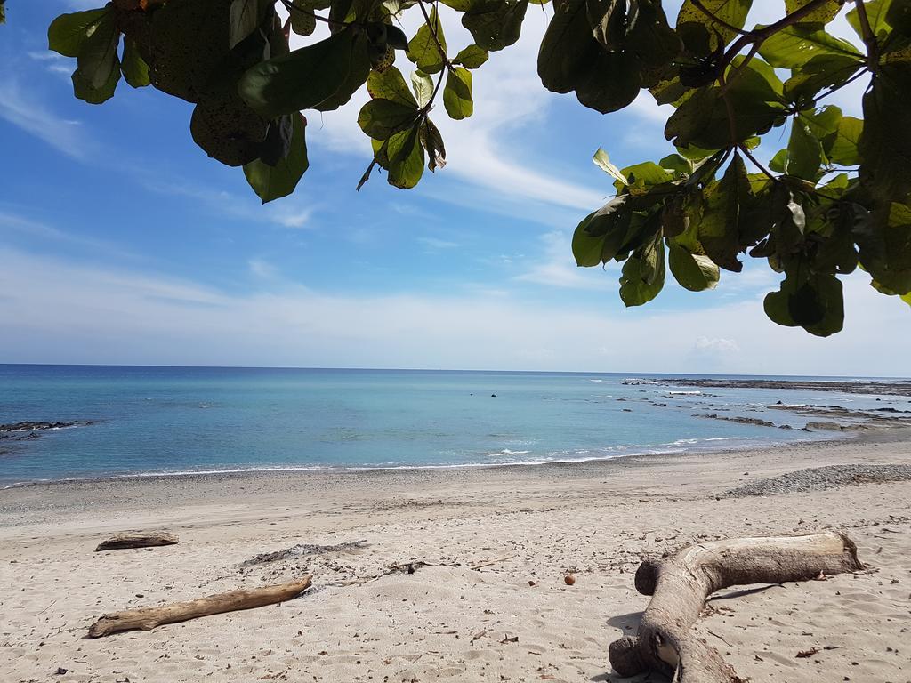 Willa Pura Vida House Cabo Blanco Nicoya Zewnętrze zdjęcie