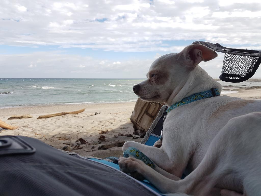 Willa Pura Vida House Cabo Blanco Nicoya Zewnętrze zdjęcie