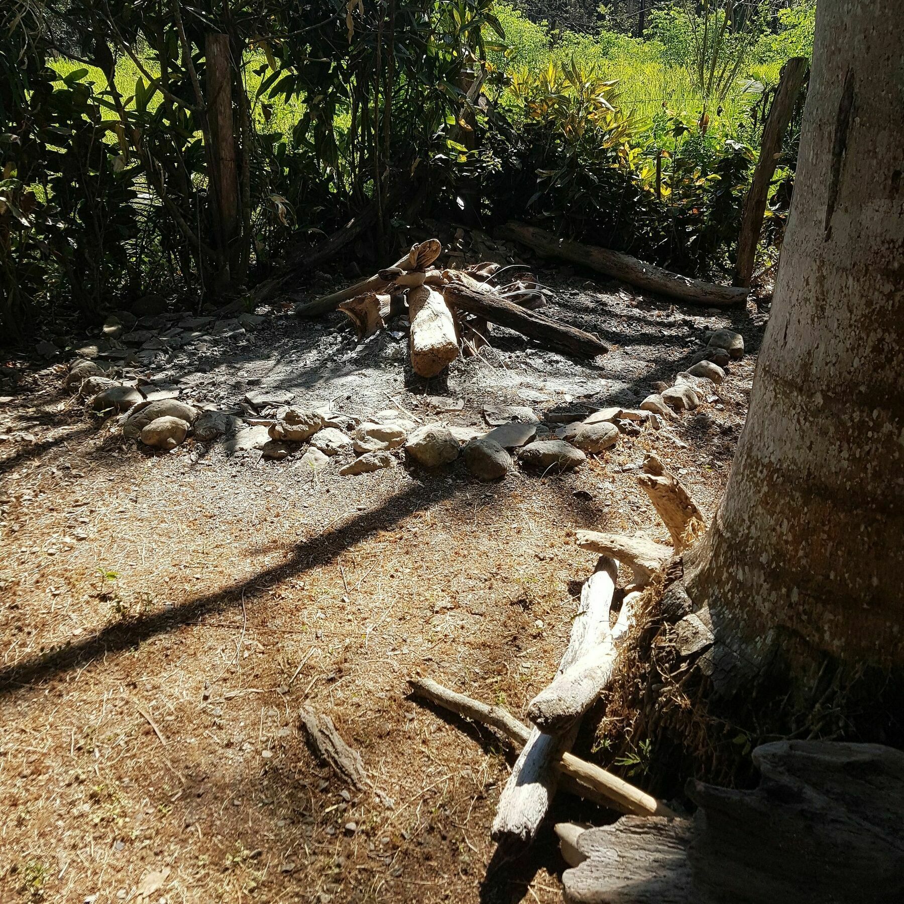 Willa Pura Vida House Cabo Blanco Nicoya Zewnętrze zdjęcie